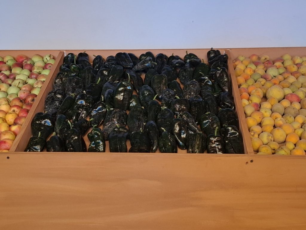 CHILES-POBLANOS-CREDITO-ALEJANDRINA-AGUIRRE-ARVIZU-