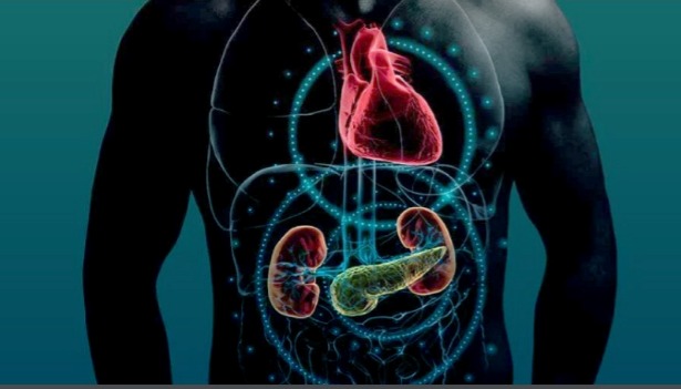 Señales de alarma: salud cardiovascular, renal y metabólica en riesgo