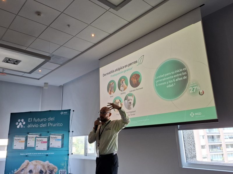 Crédito: Alejandrina Aguirre Arvizu