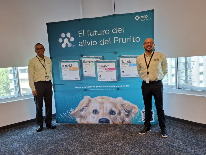 MSD Salud Animal comprometido con la salud de los perros