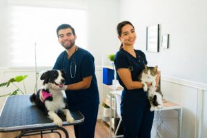 Crédito: MSD Salud Animal